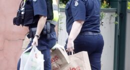 Justice delivered: Top cop drops groceries to Shaymaa Oun Ghazi Zuhaira after she killed 1-year old Jack Davey
