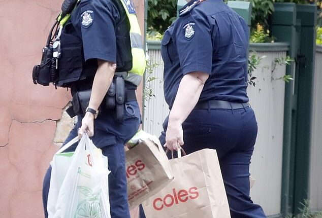 Justice delivered: Top cop drops groceries to Shaymaa Oun Ghazi Zuhaira after she killed 1-year old Jack Davey