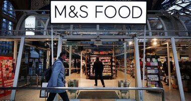 The British supermarket has announced the release of dozens of tasty new items ahead of the festive period - with one in particular leaving foodies floundering. Stock image