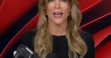 Megyn Kelly (pictured) has called out the left-wing media for trying to present Charlie Kirk 's murder as the culmination of a romantic tragedy in the life of the killer