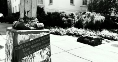 Signs Demanding Violence Against Republicans Posted In DC