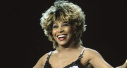 Whew! Tina Turner Statue Unveiling In Brownsville, Tennessee Has Internet Users Raising Their Eyebrows (VIDEO)