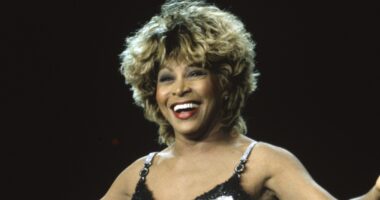 Whew! Tina Turner Statue Unveiling In Brownsville, Tennessee Has Internet Users Raising Their Eyebrows (VIDEO)