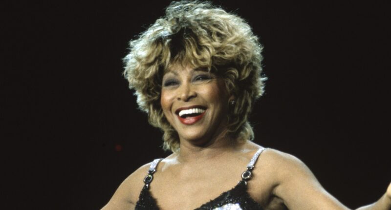 Whew! Tina Turner Statue Unveiling In Brownsville, Tennessee Has Internet Users Raising Their Eyebrows (VIDEO)