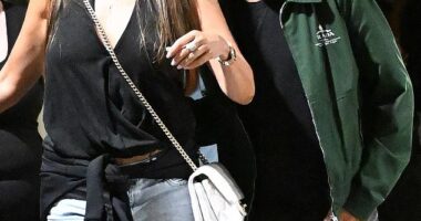 Sofia Vergara has again been seen with handsome businessman Douglas Chabbott. The two were side-by-side as they left an Oasis concert in Pasadena on Sunday