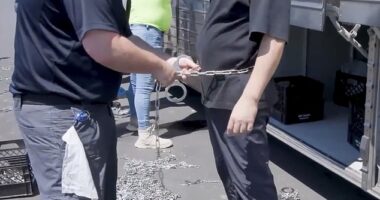 South Korea 's foreign minister may visit the United States to respond to a raid on a Huyndai plant in Georgia that detained 475 people, most of them South Korean nationals, with photos showing some of those arrested being put in chains