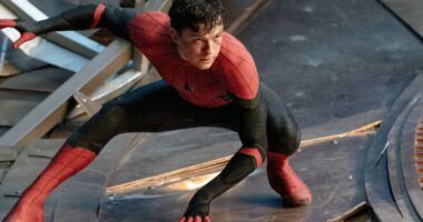 Spider-Man Is Officially Canon In The DC Universe