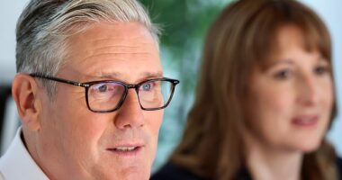 Activists want the party conference to accept the findings of a UN commission of inquiry that determined that Israel had committed 'genocide' and back a full arms embargo and further sanctions.