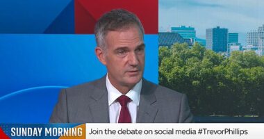 Peter Kyle said that Lord Mandelson's potential ability to handle President Trump meant it was 'worth the risk' of appointing him, despite questions already being raised about his linked to child sex abuser Epstein.