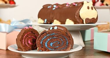 Aldi has launched a limited-edition gender reveal caterpillar cake. Two versions are available, with one containing blue buttercream and the other filled with pink buttercream