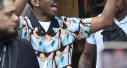 Tyler, the Creator (pictured) recently started a fan frenzy on the streets of Darlinghurst as he launched his streetwear brand in Sydney