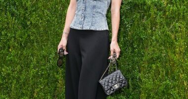 Lily Allen ¿ who has knocked two years off her age on her profile ¿ has rejoined Raya once again