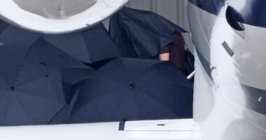 Taylor Swift seen arriving in Santa Barbara for Selena Gomez's big day. The singer was photographed in a black short sleeve top and carrying a black bag as she was carefully led out of her private plane this afternoon