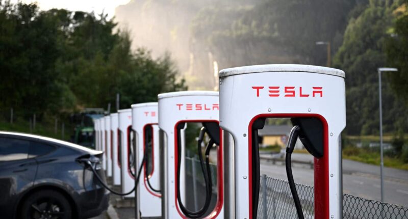 Tesla is about to show a snapshot of its global sales. Is recent optimism deserved?