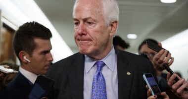 The Big Senate Brawl in the Lone Star State – RedState