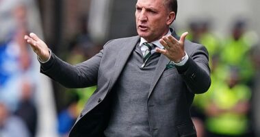 Former Parkhead star Petrov has given fulsome backing to Celtic manager Brendan Rodgers