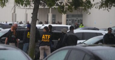 The ICE Assassin Was Joking – HotAir