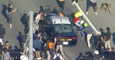 The Left's Love Affair With Terrorists Isn't New -- It's The Playbook