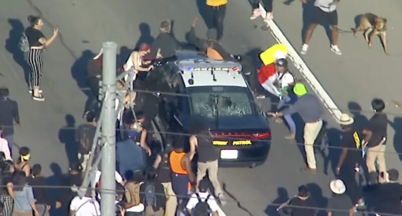 The Left's Love Affair With Terrorists Isn't New -- It's The Playbook