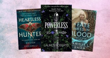 The Powerless Trilogy Returns To Kitt's Story With Fearful Novella