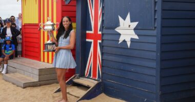 The brightly painted sheds that sell for more than a house