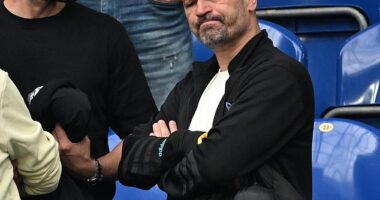 Mark Bellingham's penchant for tirades burst into the public domain last month when he ran into the Borussia Dortmund dressing room last month