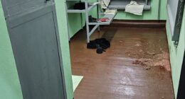 The haunting photographs were allegedly taken immediately after his body was removed and show a pool of sick on the ground