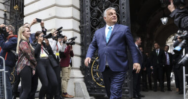 These European Nations Want to Join Trump In Declaring Antifa a Terrorist Group.