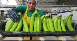 These foods can help maintain a healthy blood pressure