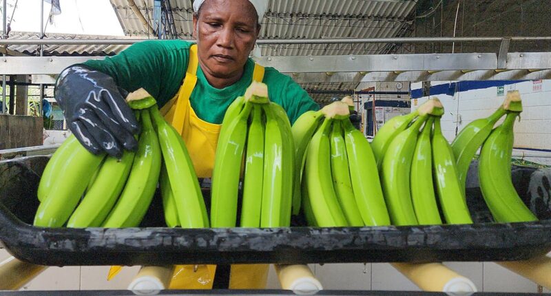 These foods can help maintain a healthy blood pressure