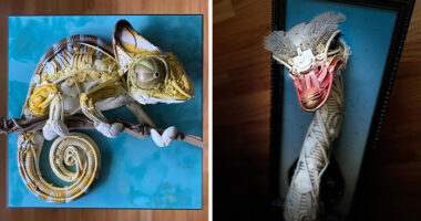 This Artist Creates Incredible Sculptures Out Of Stuff That’s Been Thrown Away (30 Pics)