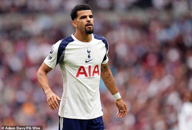 Dominic Solanke has undergone surgery on an ankle problem that has been troubling him