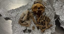 What appeared to be human remains, including part of a skull, were discovered by airport officials when a passenger tried taking them through customs