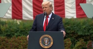 Trump Announces ANTIFA as Major Terrorist Organization.