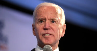 Trump Exits Biden-Backed International 'Disinformation' Pacts.