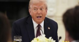 Trump Finally Wades Into Tight VA Governor's Race – RedState