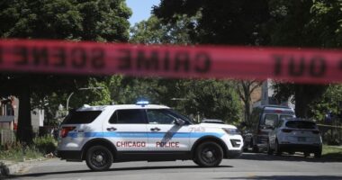 Trump Triggers Libs With 'Chipocalypse Now' Post, Warns Change Is Coming to the Windy City – RedState