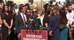 Epstein victim Anouska De Georgiou points to the sky as a press conference on Capitol Hill was interrupted Wednesday morning by a flyover signaling the Polish president's arrival at the White House