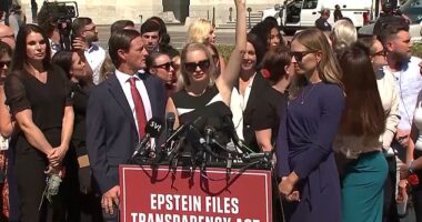 Epstein victim Anouska De Georgiou points to the sky as a press conference on Capitol Hill was interrupted Wednesday morning by a flyover signaling the Polish president's arrival at the White House