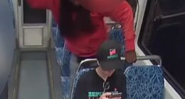Horrific footage captured the moment Ukrainian refugee Iryna Zarutska, 23, was stabbed to death from behind as she sat on a train in Charlotte, North Carolina, on August 22