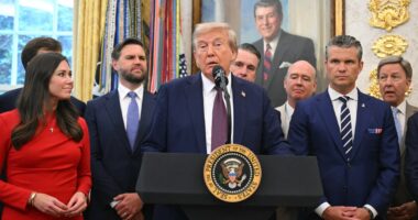 Trump blames the ‘so fake’ media for health rumors - but still sports a bruised hand in first appearance in days