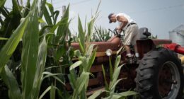Trump floats using tariff money to help farmers hurt by trade wars
