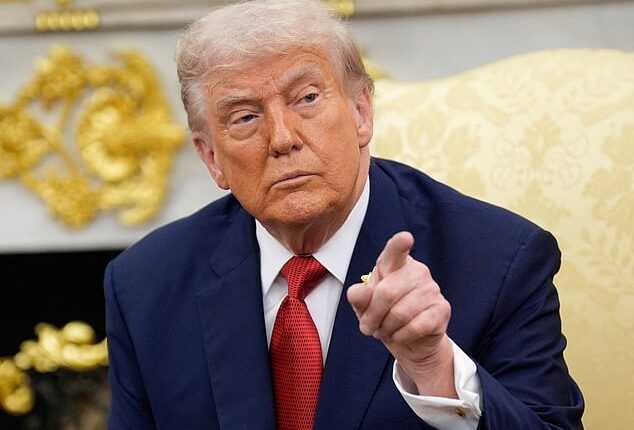 President Trump let a journalist from CNN's Turkish affiliate slide because he 'sounded like a nice guy'