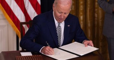 Donald Trump has revealed that Joe Biden's White House portrait is going to feature the Democrat's infamous autopen which is currently subject to an investigation