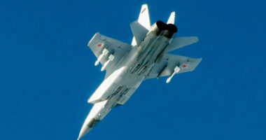 Trump suggests shooting down Russian planes in Nato airspace – but is that realistic?