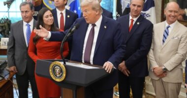 Trump's National Guard Deployment and the Art of the 80-20 Issue – HotAir