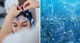 “Trust Your Gut Feeling”: Scientists Suggest Precognition May Be Real In Haunting New Evidence