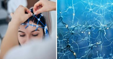 “Trust Your Gut Feeling”: Scientists Suggest Precognition May Be Real In Haunting New Evidence