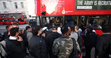 Despairing commuters are now packing onto buses into the city which are extremely busy with workers