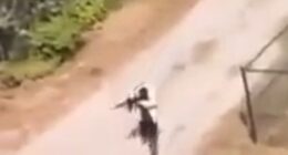 The suspected gunman was seen aiming an apparent rifle at college buildings as the university put students and staff under a shelter-in-place alert